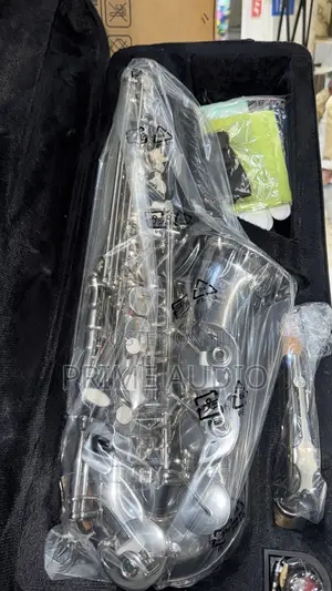 Yamaha Alto Saxophone (Silver and Gold)