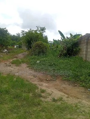 4 Plots of Farm Land