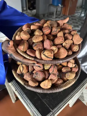Kola Nut and Bitter Kola