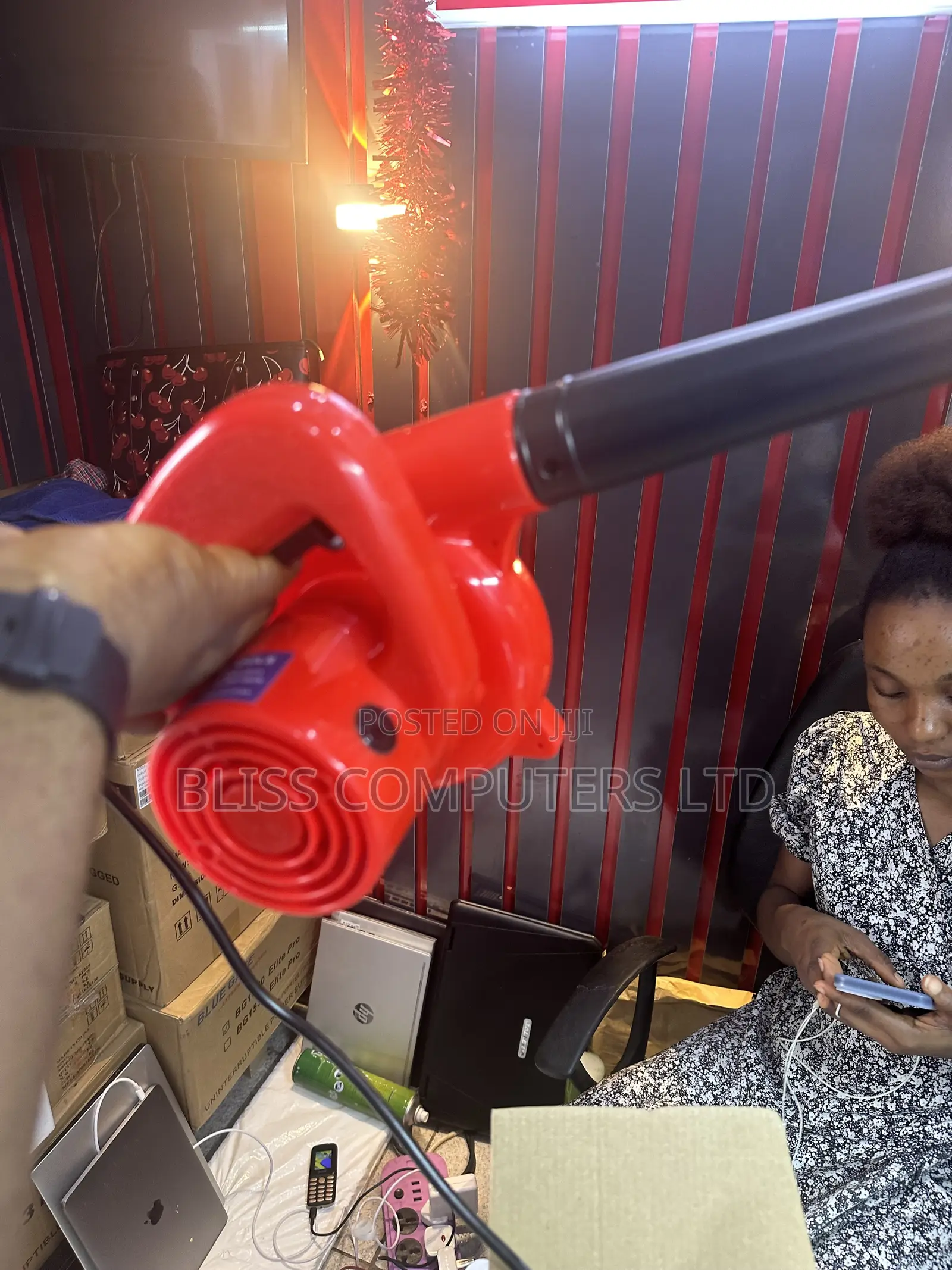 Lion Electric Air Blower