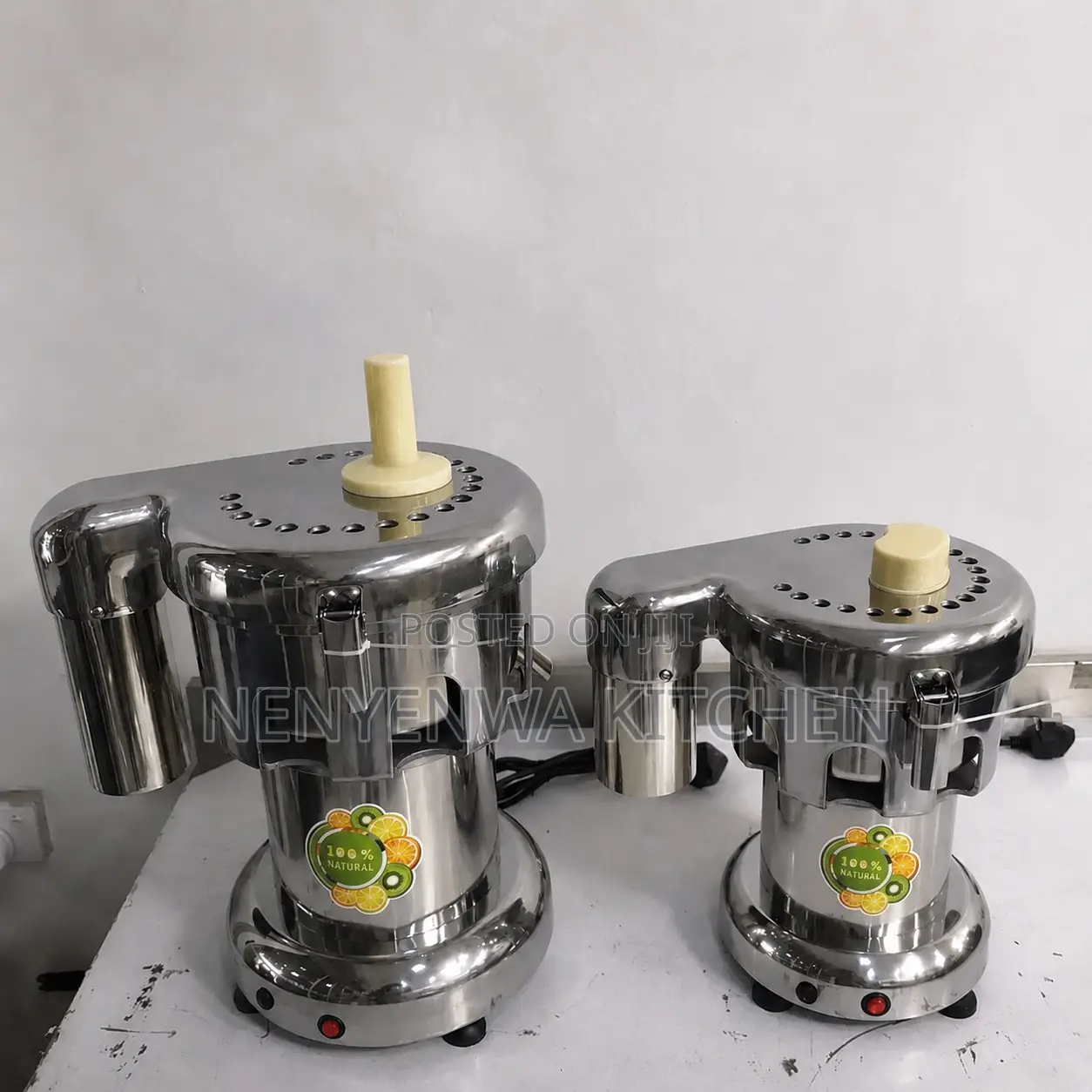 Industrial Juicer