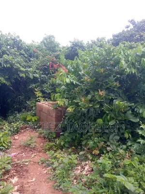 60 Acres of Land
