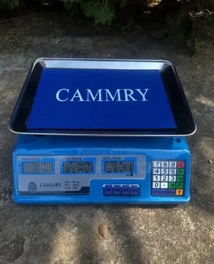 Digital Weighing Scales