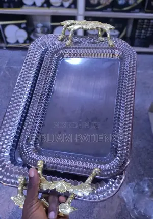 Stainless Tray