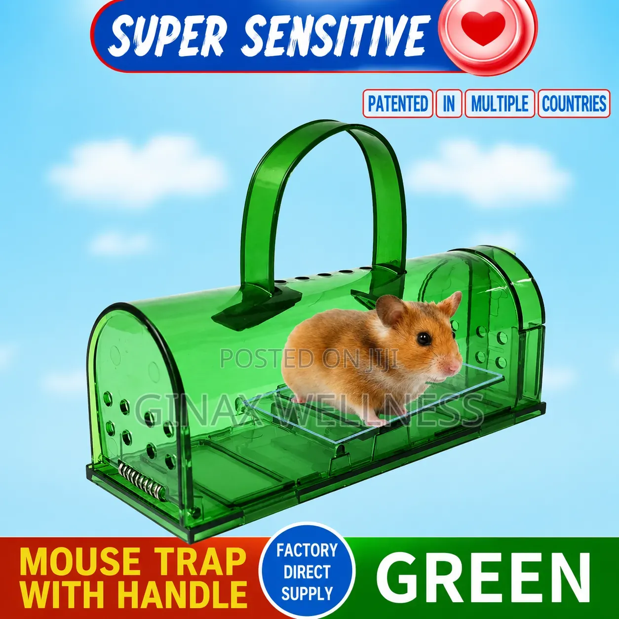 Reusable Mouse and Rat Traps With Handle