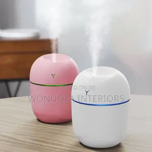 Mini Humidifier