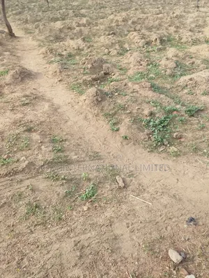 2340sqm Asokoro Main for Sale