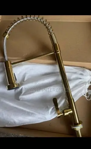 Pull Out Kitchen Faucet With Spring Coil Hose