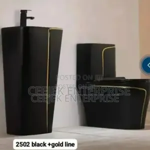 Black Executive Water Closet With Standing Basin