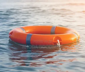 Lifebuoy Safety