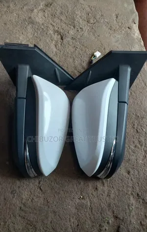 Rav4 Side Mirror 2014/2018