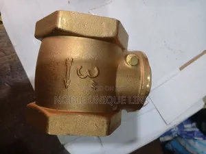 Non Return Valve