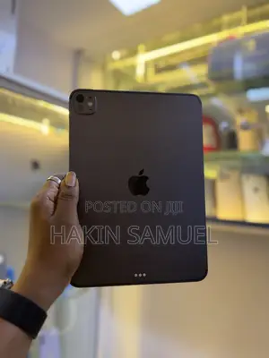 Apple iPad Pro 11 (2024) 512 GB Gray