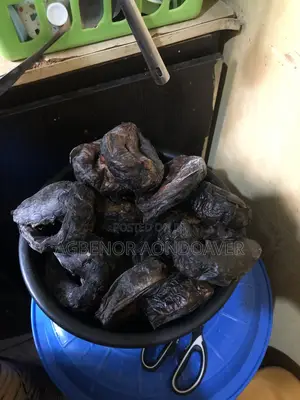 Dry Cat Fish