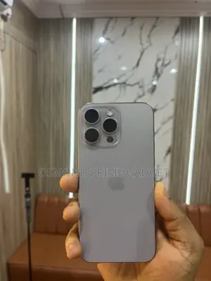 Apple iPhone 15 Pro Max 256 GB Gray
