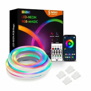 Smart Neon Rope Strip Light Remote and Mobile App Controlled