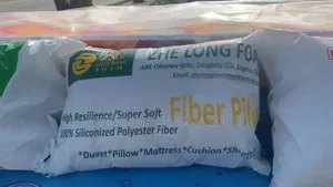 Zhe Long Fiber Pillows