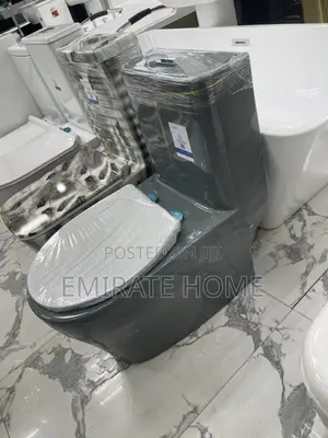 Special Gray England Toilet Seat With Wash Hand Basin