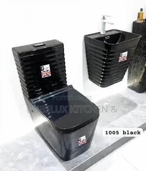 Black Rimmed Water Closet + Hand Basin