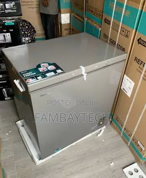 Hisense 198l Efficient Cold Keeper for Homes and Stores