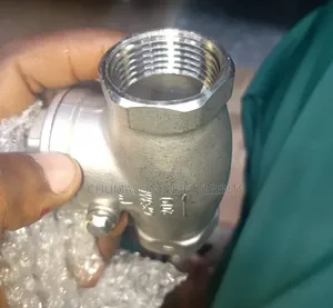 50mm Stainless Steel Non-Return Valve