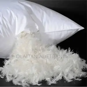 Luxurious White Feather And Down Sleeping Pillow Aid Good Sleep