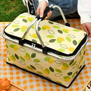 Insulated Picnic Lunch Bag