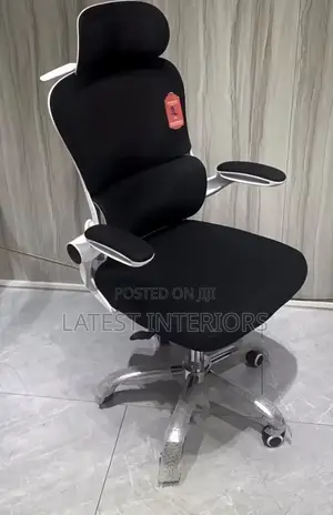 Ergonomic Chair