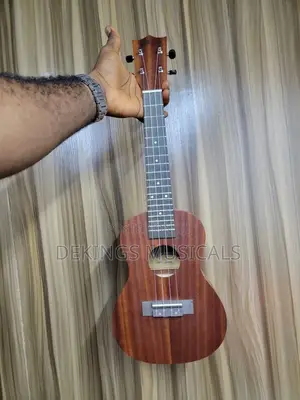 Professional Ukulele Instrument