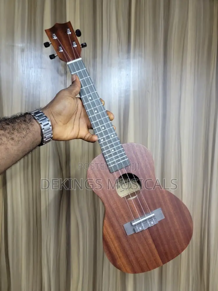 Professional Ukulele Instrument