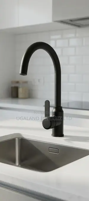 Modern Black Kitchen Faucet