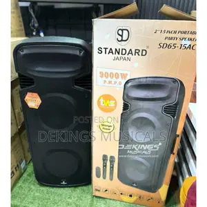 Powerful Standard Japan Portable Party Speaker or Pa System