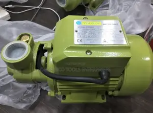 Onmarine Pkm60 Peripheral Water Pump With a Copper Winding Motor