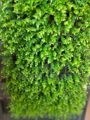 Faux Greenery Wall Panel or Artificial Boxwood-Style Greenery