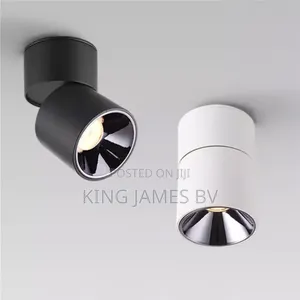 Convertible Parapet and Single Track Light