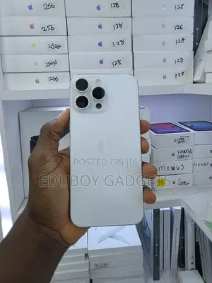 Apple iPhone 16 Pro Max 256 GB Silver