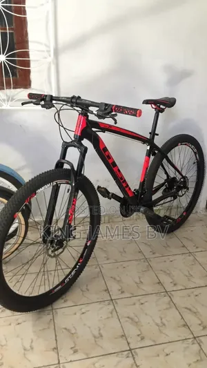 Unisex Adult Bicycle