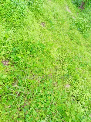 1,473sqm Residential Land at Apo Resettlement