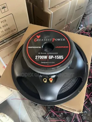 2700w Speaker Biggest Magnet