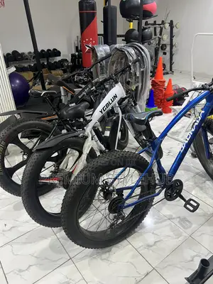 Big Tyre Bicycle