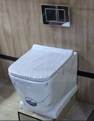Concealed Water Closet Carara White