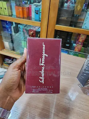 Salvatore Ferragamo Perfume for Men 100ml Edt