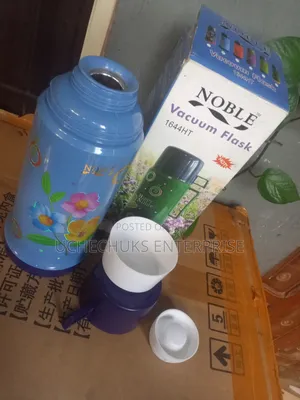 600ml Glass Vacuum Flask