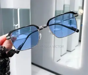 Premium Anti-Blue Ray/Photochromic Glasses