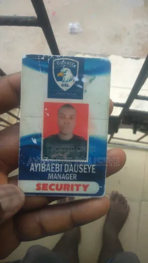 Ayibaebi Dauseye