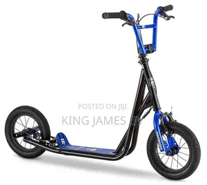 Universal Family Scooter
