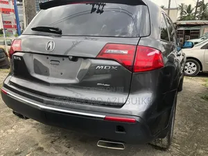 Acura MDX 2010 Gray