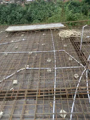 Professional Electrical Engineer