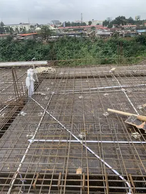 Professional Electrical Engineer