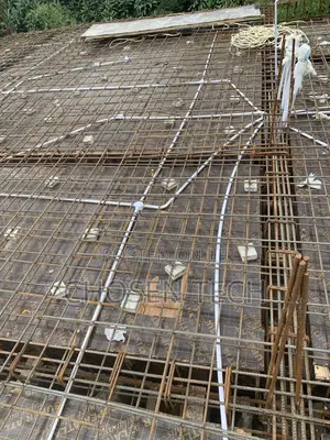 Professional Electrical Engineer